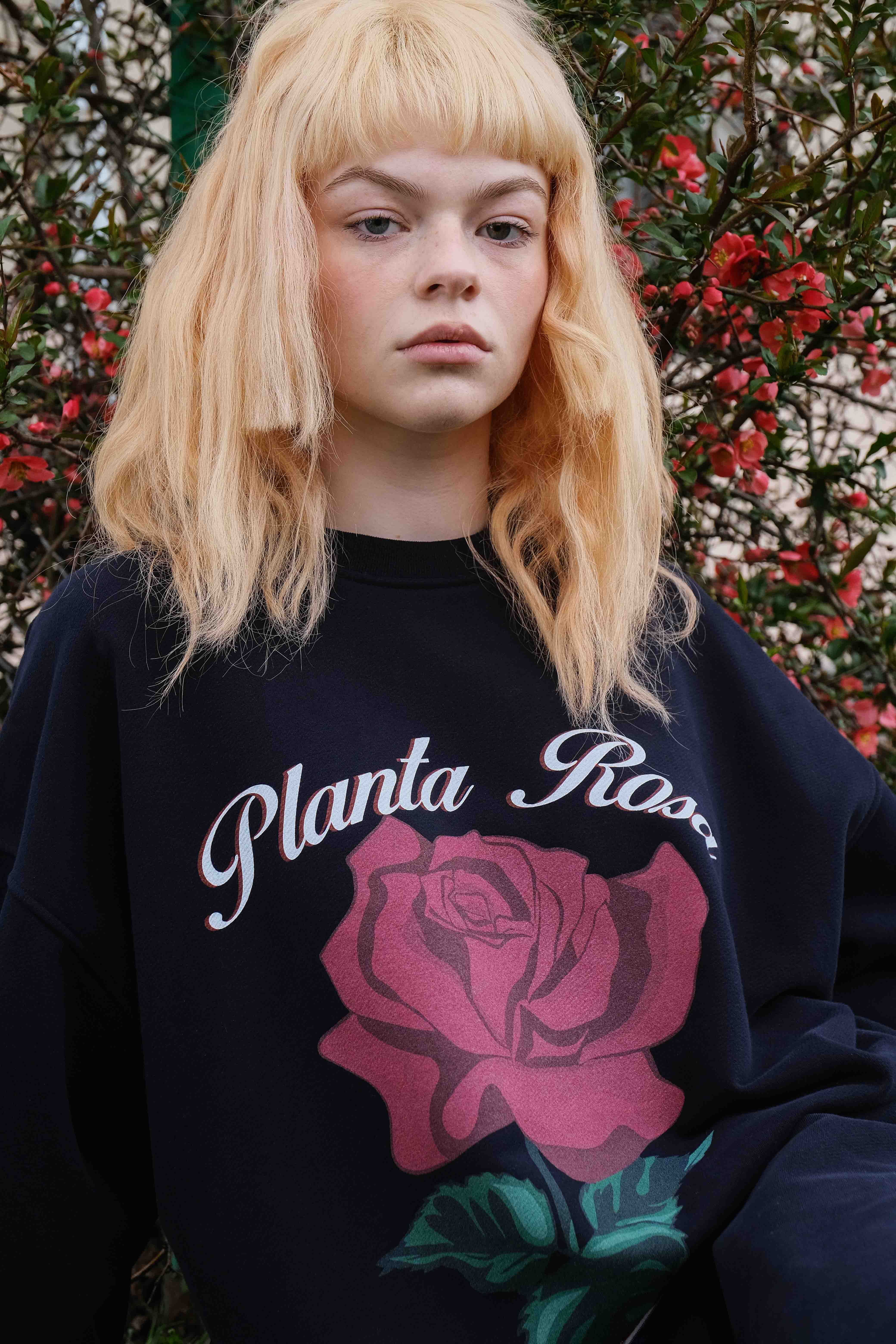 ROSE VINTAGE SWEATSHIRT