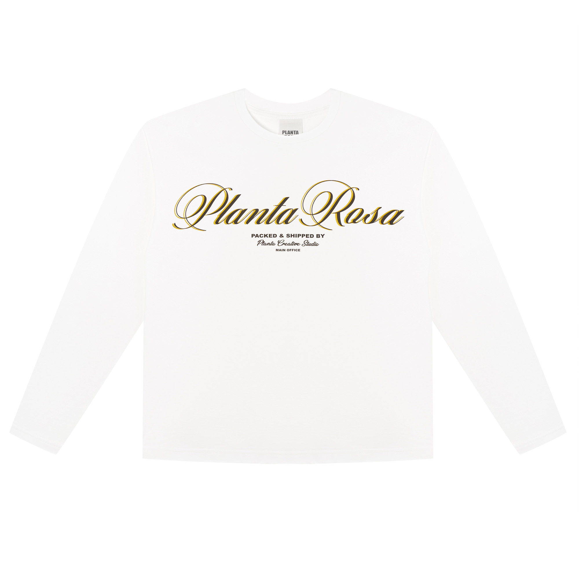 ITALIC-YELLOW LONG SLEEVE - 220 VANILLA VELVET