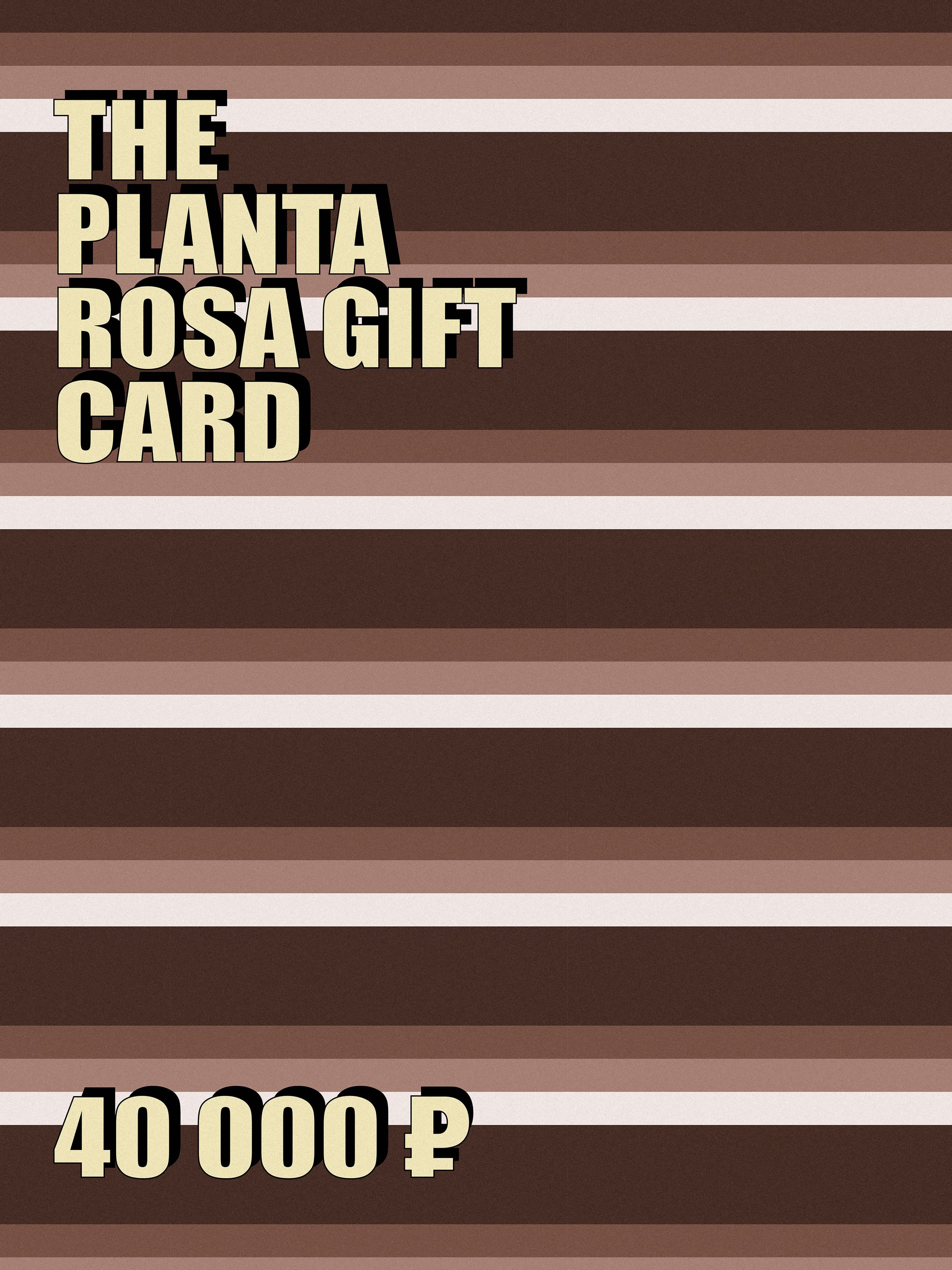 PLANTA GIFT (40000)