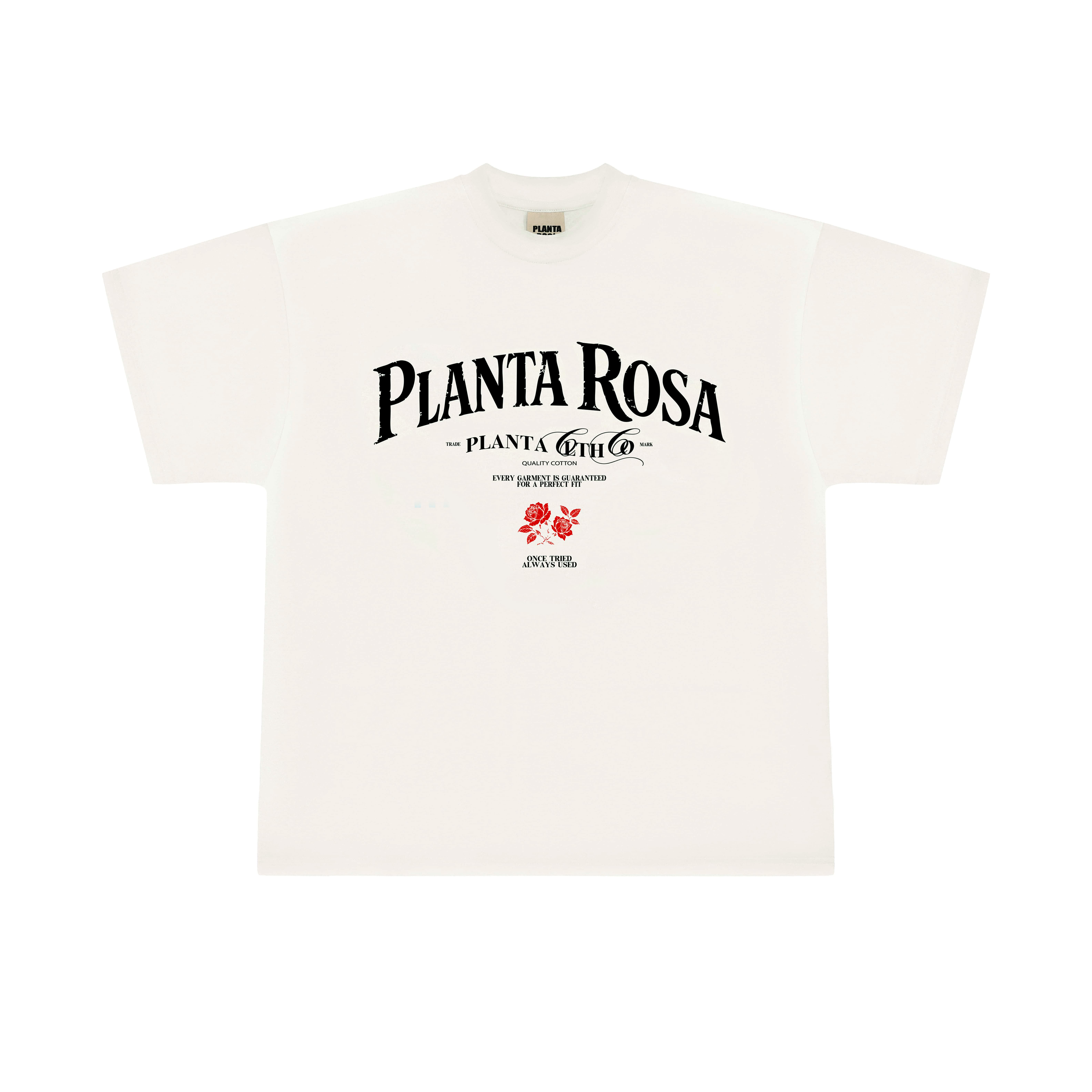 ROSA-PARADISE T-SHIRT 250-VANILLA