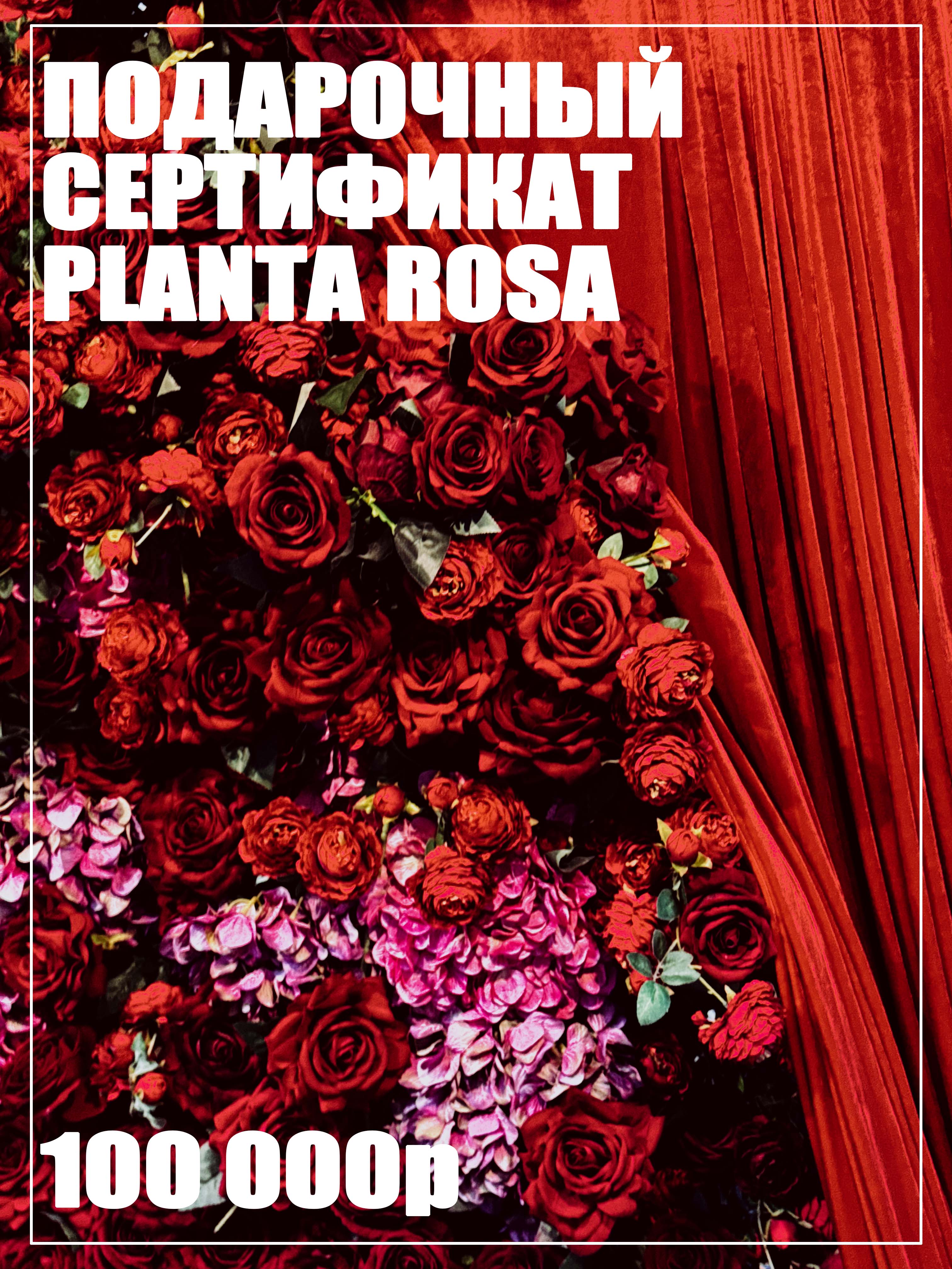 PLANTA GIFT (100000)